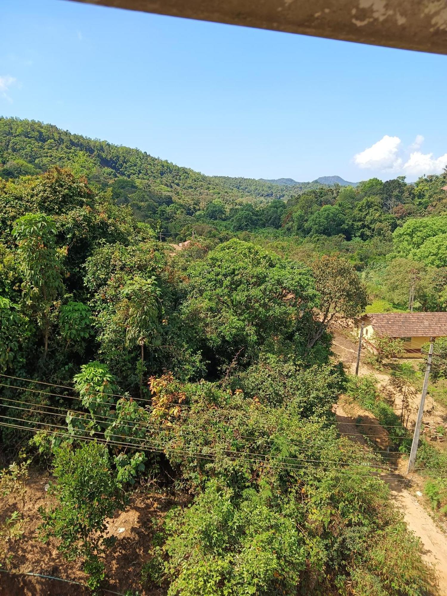 Coorg Vacation Stay Мадікері Екстер'єр фото